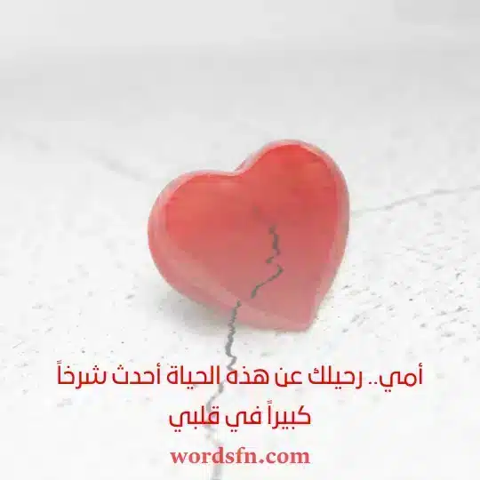 أمي.. رحيلك عن هذه الحياة أحدث شرخاً كبيراً في قلبي - فن العبارات أمي رحيلك عن هذه الحياة أحدث شرخاً كبيراً في قلبي حالات عن الموت