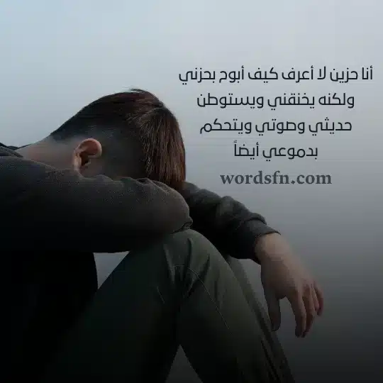 أنا حزين لا أعرف كيف أبوح بحزني ولكنه يخنقني ويستوطن حديثي وصوتي ويتحكم بدموعي أيضاً - فن العبارات أنا حزين لا أعرف كيف أبوح بحزني ولكنه يخنقني ويستوطن حديثي وصوتي ويتحكم بدموعي أيضاً حالات واتس حزن