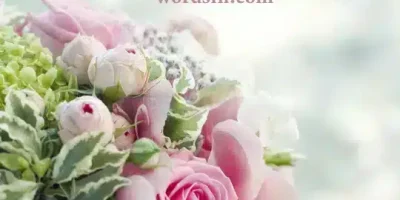 حالات واتساب حب وعشق