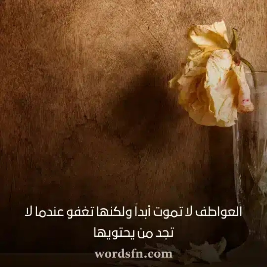 العواطف لا تموت أبداً ولكنها تغفو عندما لا تجد من يحتويهاwebp - فن العبارات العواطف لا تموت أبداً ولكنها تغفو عندما لا تجد من يحتويها حالات واتس جديدة