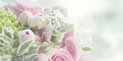 حالات عن الموت