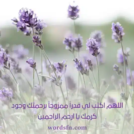 حالات واتس جميله