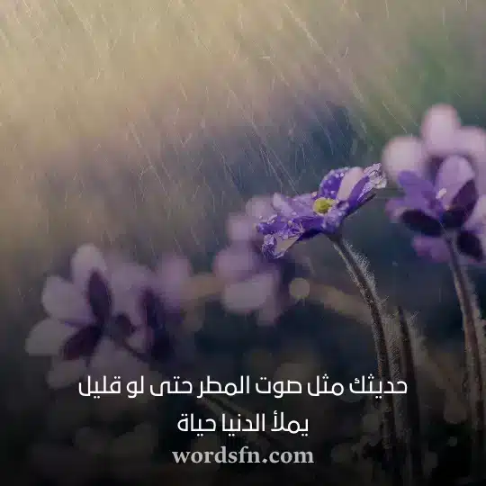 حالات عن المطر