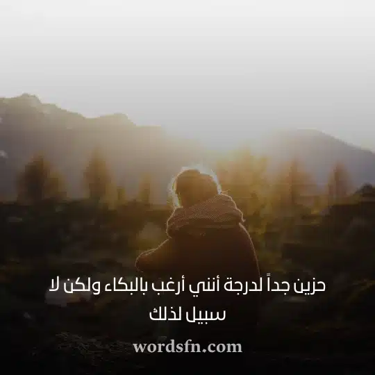 حزين جداً لدرجة أنني أرغب بالبكاء ولكن لا سبيل لذلكwebp - فن العبارات حزين جداً لدرجة أنني أرغب بالبكاء ولكن لا سبيل لذلك حالات واتساب حزين