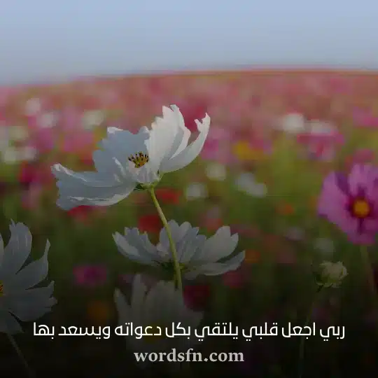 ربي اجعل قلبي يلتقي بكل دعواته ويسعد بهاwebp - فن العبارات ربي اجعل قلبي يلتقي بكل دعواته ويسعد بها حالات واتس جميله