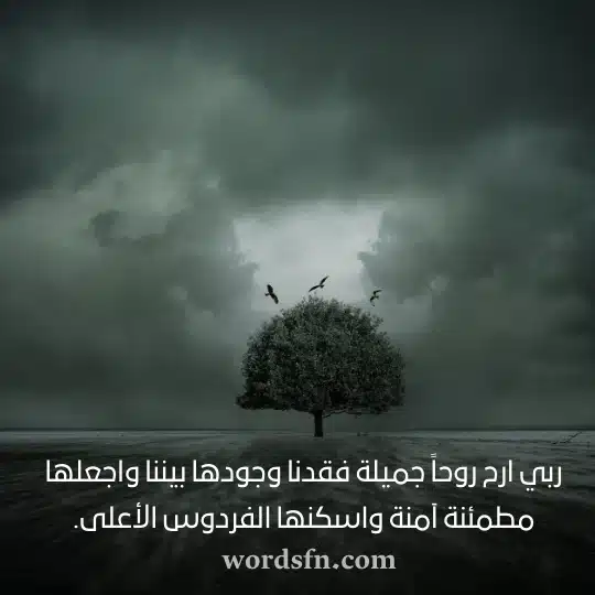 ربي ارح روحاً جميلة فقدنا وجودها بيننا واجعلها مطمئنة آمنة واسكنها الفردوس الأعلىwebp - فن العبارات ربي ارح روحاً جميلة فقدنا وجودها بيننا واجعلها مطمئنة آمنة واسكنها الفردوس الأعلى حالات عن الموت