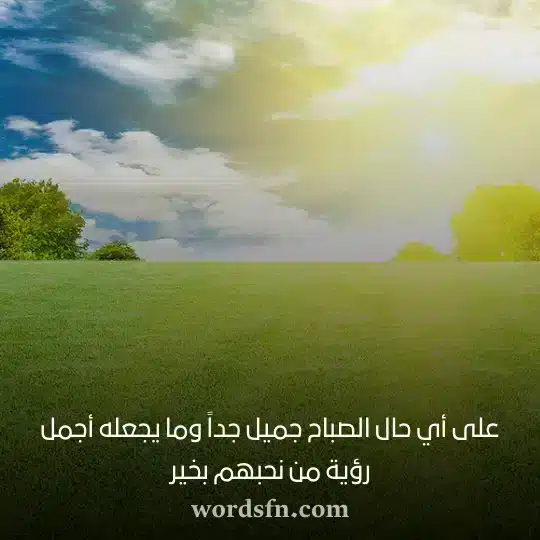 على أي حال الصباح جميل جداً وما يجعله أجمل رؤية من نحبهم بخير - فن العبارات على أي حال الصباح جميل جداً وما يجعله أجمل رؤية من نحبهم بخير حالات صباحية