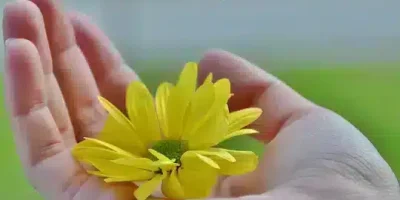 حالات واتس حب ورومانسيه