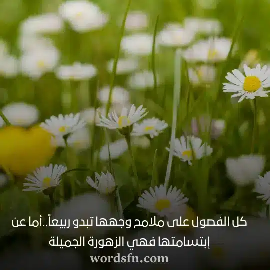 كل الفصول على ملامح وجهها تبدو ربيعاًأما عن إبتسامتها فهي الزهورة الجميلةwebp - فن العبارات كل الفصول على ملامح وجهها تبدو ربيعاً أما عن إبتسامتها فهي الزهورة الجميلة حالات واتس راقية كتابة