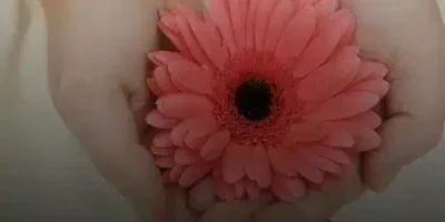 حالات واتس جميلة