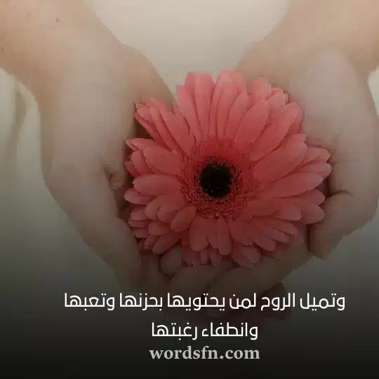 حالات واتس جميلة