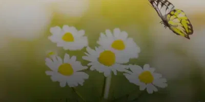 حالات واتس رومانسي