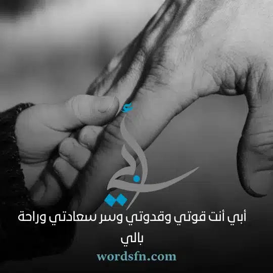 أبي أنت قوتي وقدوتي وسر سعادتي وراحة بالي حالات واتساب عن الاب