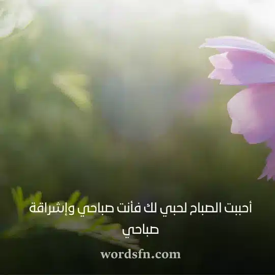 أحببت الصباح لحبي لك فأنت صباحي وإشراقة صباحي حالات واتساب صباح الخير
