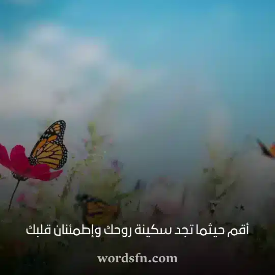 حالات جديده - فن العبارات حالات جديده