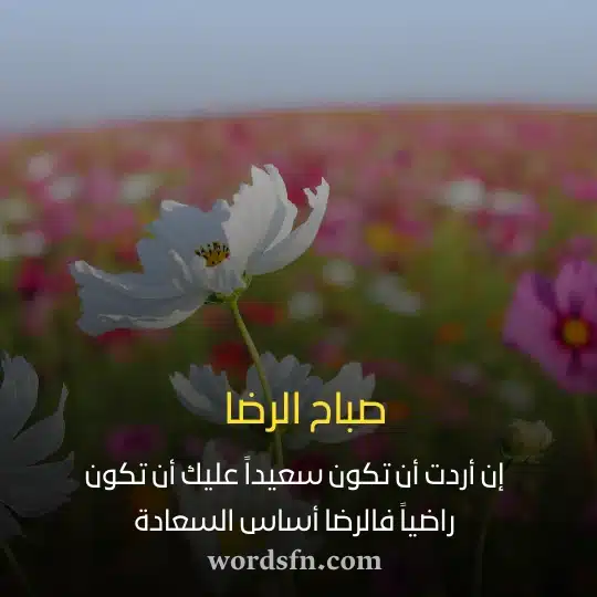 إن أردت أن تكون سعيداً عليك أن تكون راضياً فالرضا أساس السعادة - فن العبارات إن أردت أن تكون سعيداً عليك أن تكون راضياً فالرضا أساس السعادة حالات صباح