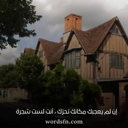 _إن لم يعجبك مكانك تحرّك أنت لست شجرة - فن العبارات إن لم يعجبك مكانك تحرّك أنت لست شجرة شكسبير حالات واتس اب