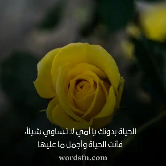 الحياة بدونك يا أمي لا تساوي شيئاً فأنت الحياة وأجمل ما عليهاwebp - فن العبارات الحياة بدونك يا أمي لا تساوي شيئاً فأنت الحياة وأجمل ما عليها حالات للام