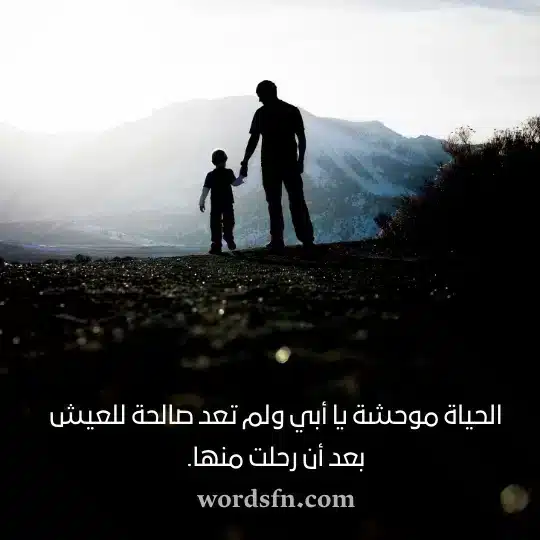الحياة موحشة يا أبي ولم تعد صالحة للعيش بعد أن رحلت منها - فن العبارات الحياة موحشة يا أبي ولم تعد صالحة للعيش بعد أن رحلت منها حالات واتس فراق