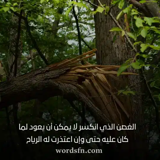 الغصن الذي انكسر لا يمكن أن يعود لما كان عليه حتى وإن اعتذرت له الرياح - فن العبارات الغصن الذي انكسر لا يمكن أن يعود لما كان عليه حتى وإن اعتذرت له الرياح حالات واتس اب معبرة