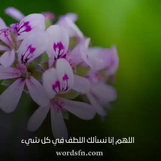 اللهم إنا نسألك اللطف في كل شيء حالات واتس دينية مكتوبة