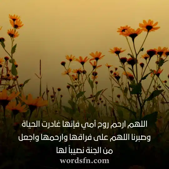 اللهم ارحم روح أمي فإنها غادرت الحياة وصبرنا اللهم على فراقها وارحمها واجعل من الجنة نصيباً لهاwebp - فن العبارات اللهم ارحم روح أمي فإنها غادرت الحياة وصبرنا اللهم على فراقها وارحمها واجعل من الجنة نصيباً لها حالات للام