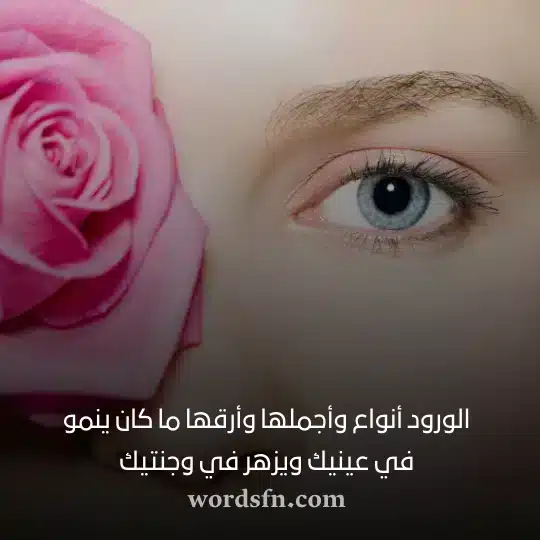 الورود أنواع وأجملها وأرقها ما كان ينمو في عينيك ويزهر في وجنتيك - فن العبارات الورود أنواع وأجملها وأرقها ما كان ينمو في عينيك ويزهر في وجنتيك حالات بنات