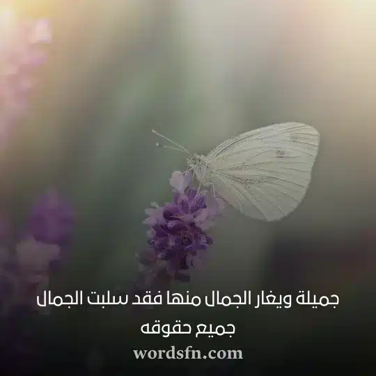 جميلة ويغار الجمال منها فقد سلبت الجمال جميع حقوقهwebp - فن العبارات جميلة ويغار الجمال منها فقد سلبت الجمال جميع حقوقه حالات واتس عن الحب