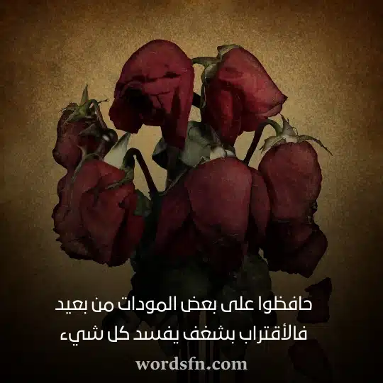 حافظوا على بعض المودات من بعيد فالأقتراب بشغف يفسد كل شيء - فن العبارات حافظوا على بعض المودات من بعيد فالأقتراب بشغف يفسد كل شيء حالات واتساب منوعه