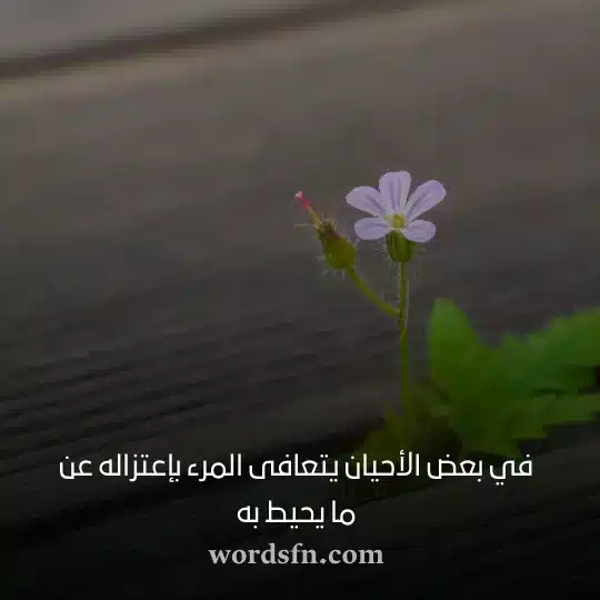 عبارات حالات واتس اب حكم قويه - فن العبارات عبارات حالات واتس اب حكم قويه