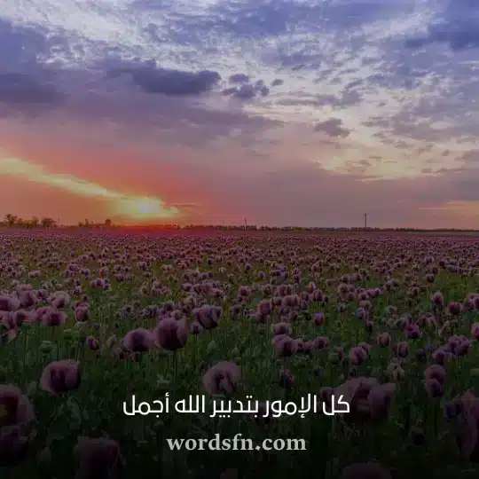 كل الإمور بتدبير الله أجمل - فن العبارات كل الإمور بتدبير الله أجمل حالات صباح