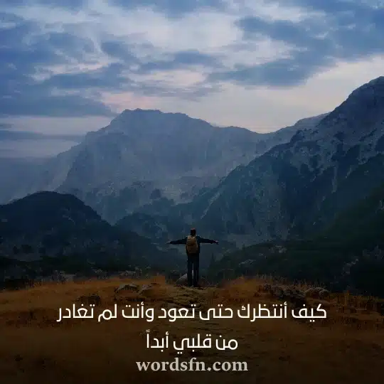 كيف أنتظرك حتى تعود وأنت لم تغادر من قلبي أبداً حالات للمسافر