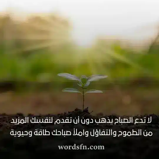 حالات واتساب صباح الخير