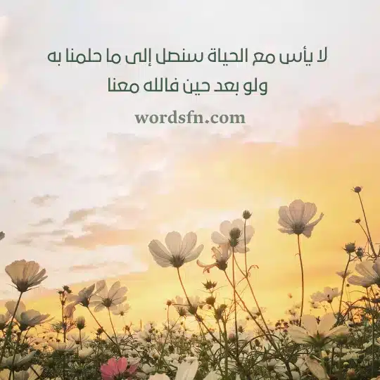 لا يأس مع الحياة سنصل إلى ما حلمنا به ولو بعد حين فالله معنا - فن العبارات لا يأس مع الحياة سنصل إلى ما حلمنا به ولو بعد حين فالله معنا عبارات حالات واتس اب حكم قويه