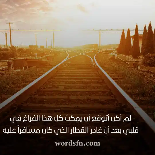 لم أكن أتوقع أن يمكث كل هذا الفراغ في قلبي بعد أن غادر القطار الذي كان مسافراً عليه حالات للمسافر