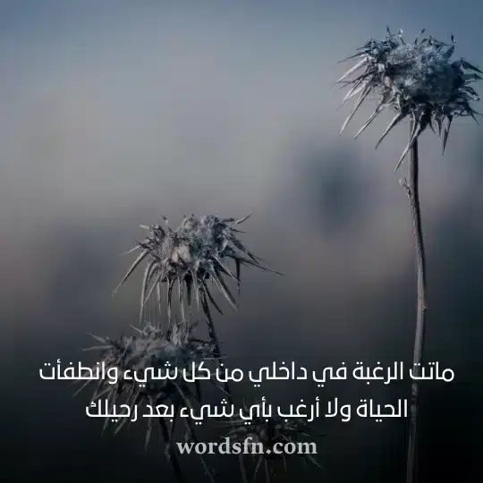 حالات واتس فراق - فن العبارات حالات واتس فراق