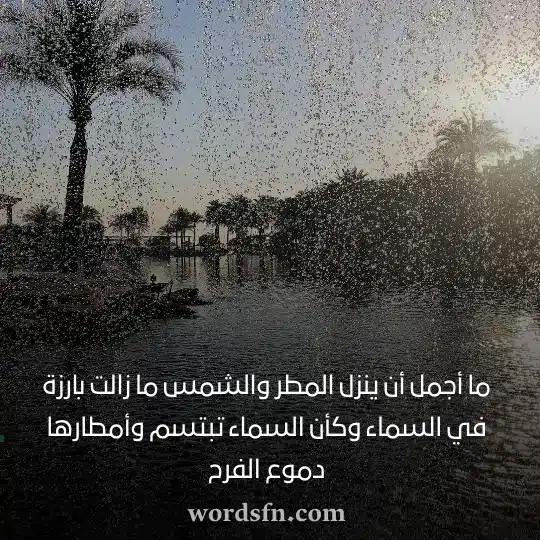 ما أجمل أن ينزل المطر والشمس ما زالت بارزة في السماء وكأن السماء تبتسم وأمطارها دموع الفرح - فن العبارات ما أجمل أن ينزل المطر والشمس ما زالت بارزة في السماء وكأن السماء تبتسم وأمطارها دموع الفرح حالات مطر