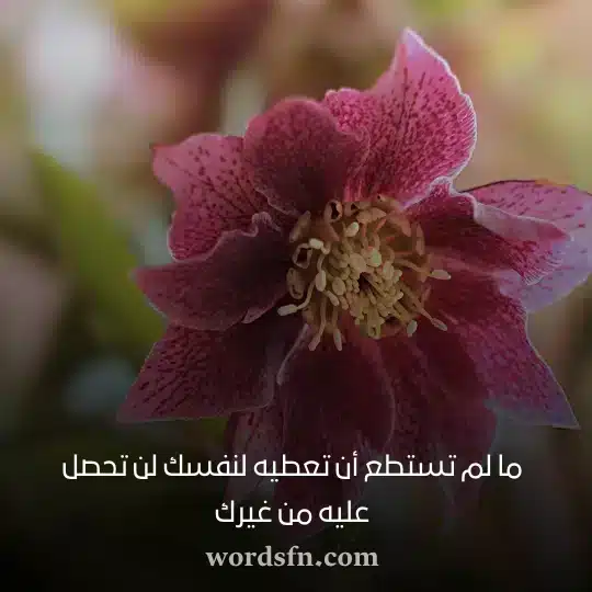 ما لم تستطع أن تعطيه لنفسك لن تحصل عليه من غيرك حالات واتس قصيرة