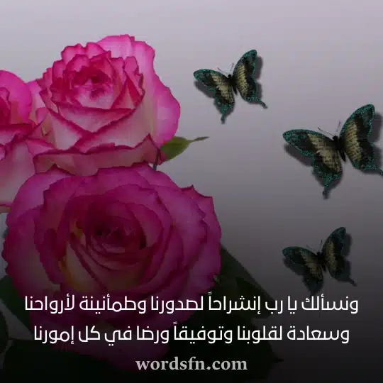 ونسألك يا رب إنشراحاً لصدورنا وطمأنينة لأرواحنا وسعادة لقلوبنا وتوفيقاً ورضا في كل إمورنا دعاء حالات واتس