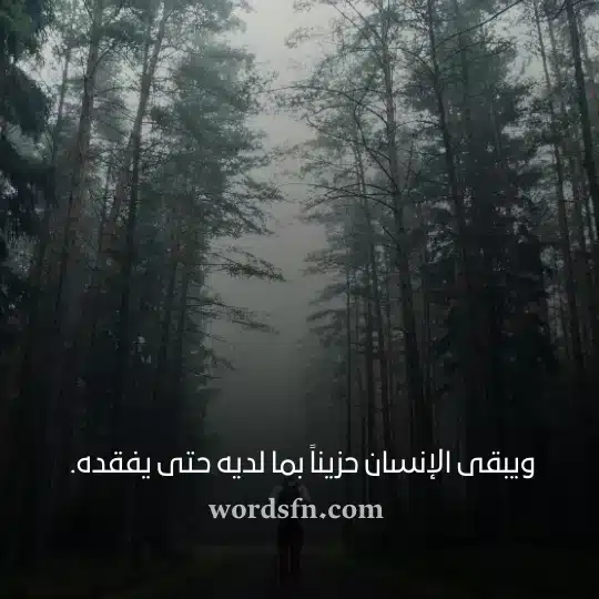 ويبقى الإنسان حزيناً بما لديه حتى يفقده حالات منوعه