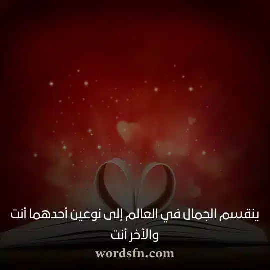 ينقسم الجمال في العالم إلى نوعين أحدهما أنت والأخر أنتwebp - فن العبارات ينقسم الجمال في العالم إلى نوعين أحدهما أنت والأخر أنت حالات انستا