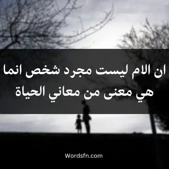 A-message-to-the-mother2 - فن العبارات ان الام ليست مجرد شخص انما هي معنى من معاني الحياة