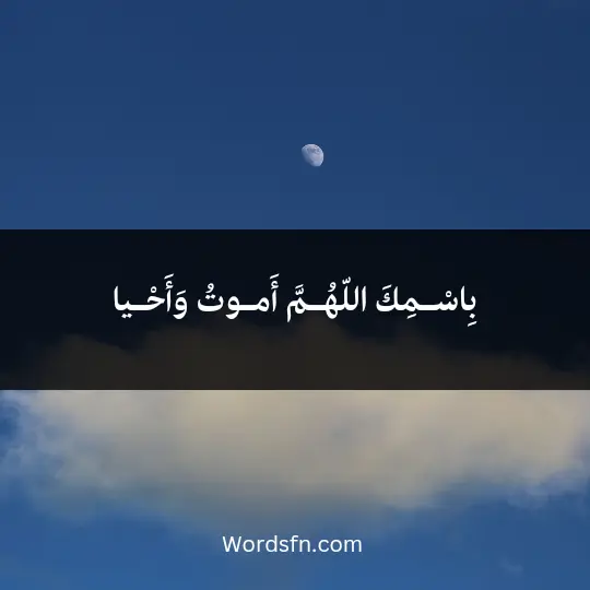 بِاسْـمِكَ اللّهُـمَّ أَمـوتُ وَأَحْـيا