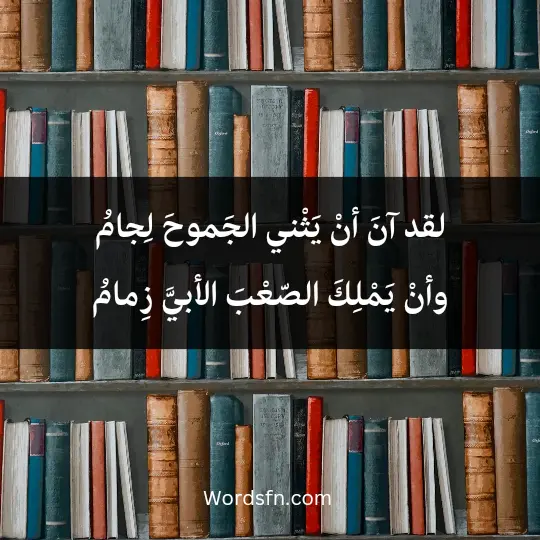 Abu Al-Ela Al-Marei1 - فن العبارات لقد آنَ أنْ يَثْني الجَموحَ لِجامُ وأنْ يَمْلِكَ الصّعْبَ الأبيَّ زِمامُ