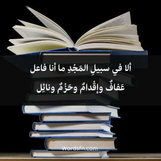 Abu Al-Ela Al-Marei2 - فن العبارات ألا في سبيلِ المَجْدِ ما أنا فاعل عَفافٌ وإقْدامٌ وحَزْمٌ ونائِل