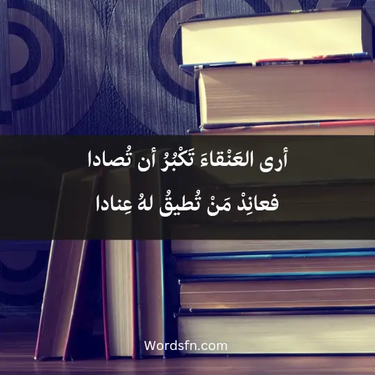 Abu Al-Ela Al-Marei3 - فن العبارات أرى العَنْقاءَ تَكْبُرُ أن تُصادا فعانِدْ مَنْ تُطيقُ لهُ عِنادا