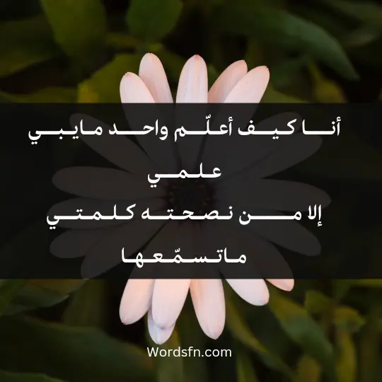 أنـــا كـيــف أعـلّــم واحـــد ٍ مـايـبــي عـلـمــي إلا مـــــن نـصـحـتــه كـلـمـتــي مـاتـسـمّـعـهـا يــروّح عـلـى سلـمـه ، واروّح عـلـى سـلـمـي وحـسـنــات النـصـيـحـة ربــنــا مايضـيّـعـهـا