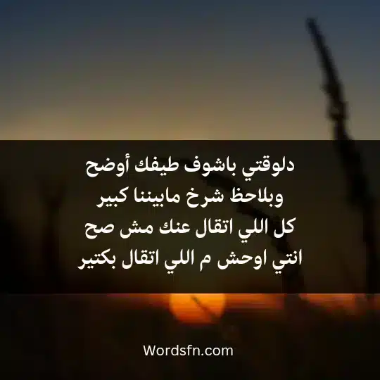 دلوقتي باشوف طيفك أوضحوبلاحظ شرخ مابيننا كبير كل اللي اتقال عنك مش صح انتي اوحش م اللي اتقال بكتير