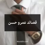 قصائد عمرو حسن