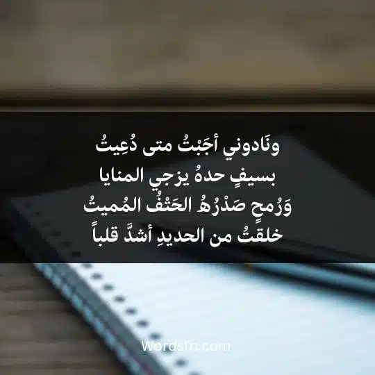 ونَادوني أجَبْتُ متى دُعِيتُ بسيفٍ حدهُ يزجي المنايا وَرُمحٍ صَدْرُهُ الحَتْفُ المُميتُ خلقتُ من الحديدِ أشدَّ قلباً